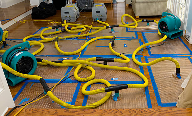 Professional Crawl Space Water Removal technician working in Porter, ME